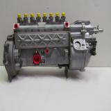 8 Cyl Bosch A Rebuild